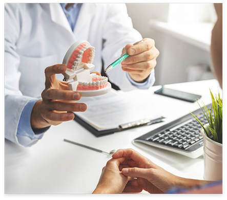 Dentist showing a model of a denture to a patient